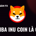 Shiba Inu coin là gì? Có nên đầu tư Shiba?