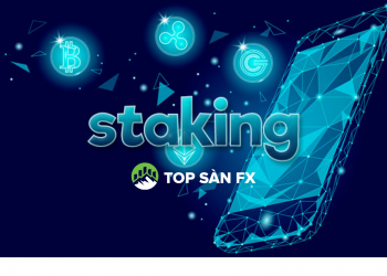 Staking là gì? Những thông tin cần nắm về Staking