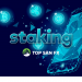 Staking là gì? Những thông tin cần nắm về Staking