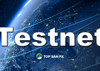 Testnet là gì? Yếu tố quyết định một loại coin tiềm năng
