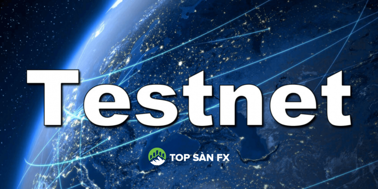 Testnet là gì? Yếu tố quyết định một loại coin tiềm năng