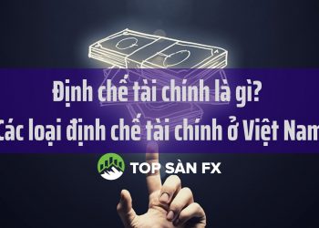 Định chế tài chính là gì? Các loại định chế tài chính ở Việt Nam     