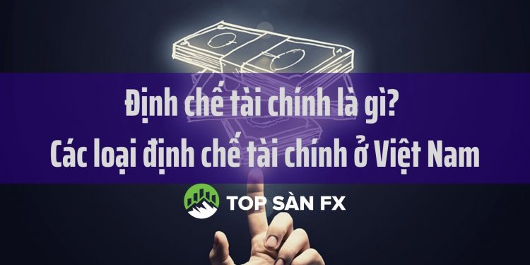 Định chế tài chính là gì? Các loại định chế tài chính ở Việt Nam