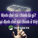 Định chế tài chính là gì? Các loại định chế tài chính ở Việt Nam