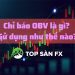 Chỉ báo OBV là gì? Sử dụng như thế nào?