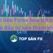 Tài liệu Forex hữu ích mà nhà đầu tư nên tham khảo