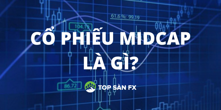 Cổ phiếu Midcap là gì? Danh sách cổ phiếu Midcap đáng đầu tư