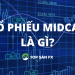 Cổ phiếu Midcap là gì? Danh sách cổ phiếu Midcap đáng đầu tư