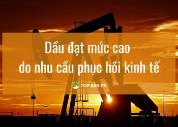 Dầu đạt mức cao do nhu cầu phục hồi kinh tế