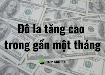 Đô la tăng cao trong gần một tháng