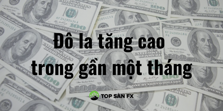 Đô la tăng cao trong gần một tháng