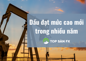 Dầu đạt mức cao mới trong nhiều năm