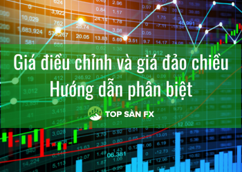 Giá điều chỉnh và giá đảo chiều – Hướng dẫn phân biệt