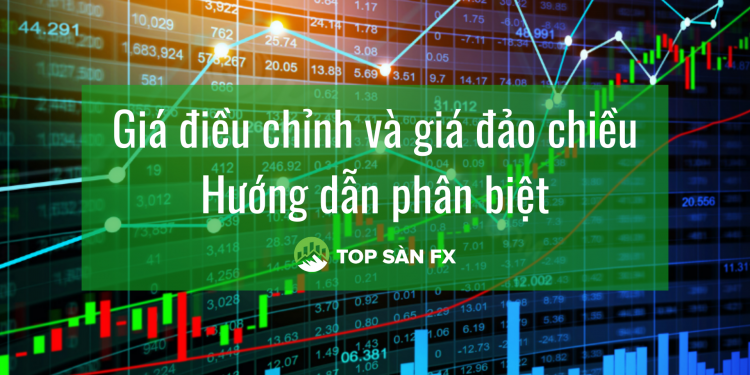 Giá điều chỉnh và giá đảo chiều – Hướng dẫn phân biệt