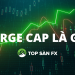 Large cap là gì? Những lưu ý khi đầu tư Large cap
