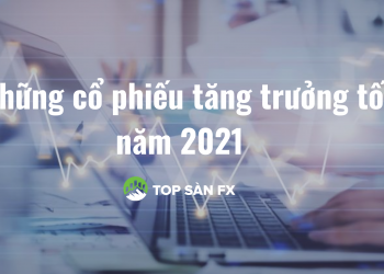 Cập nhật những cổ phiếu tăng trưởng tốt năm 2023
