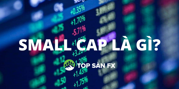 Small cap là gì? Cơ hội hay rủi ro cho nhà đầu tư?
