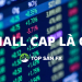 Small cap là gì? Cơ hội hay rủi ro cho nhà đầu tư?