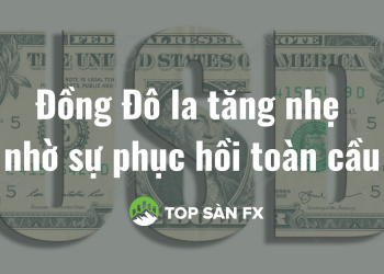 Đồng Đô la tăng nhẹ nhờ sự phục hồi toàn cầu