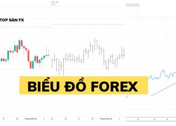 Biểu đồ forex là gì? Cách đọc 3 loại biểu đồ forex