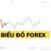 Biểu đồ forex là gì? Cách đọc 3 loại biểu đồ forex