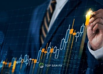 Tìm hiểu về cấu trúc thị trường chứng khoán