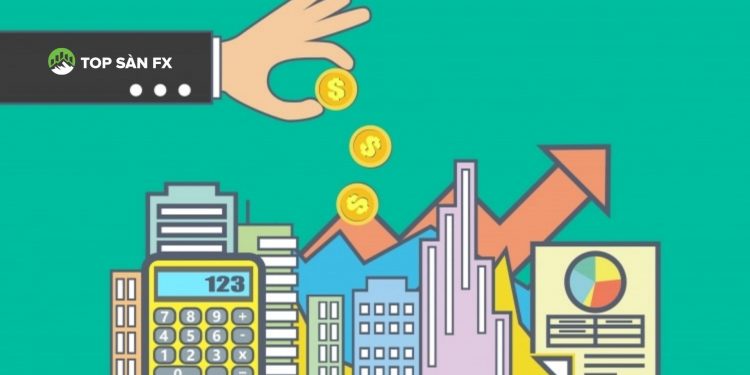 Chứng chỉ quỹ là gì? Sự khác biệt giữa chứng chỉ quỹ và cổ phiếu