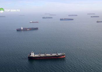 Chuỗi cung ứng toàn cầu gặp khó khăn vì biến thể của virus và thiên tai