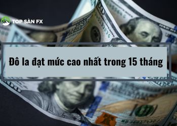Đô la đạt mức cao nhất trong 15 tháng