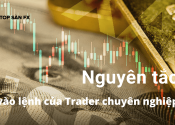 Bật mí các nguyên tắc vào lệnh của Trader chuyên nghiệp