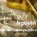 Bật mí các nguyên tắc vào lệnh của Trader chuyên nghiệp