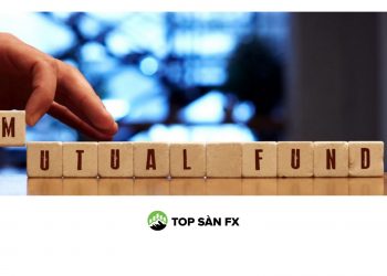 Quỹ hỗ tương là gì? Đặc điểm từng loại quỹ tương hỗ