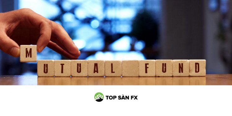 Quỹ hỗ tương là gì? Đặc điểm từng loại quỹ tương hỗ