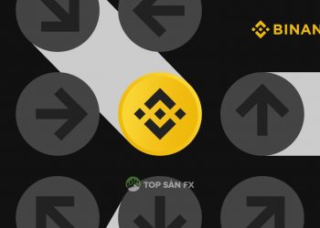 Nhận biết các đồng coin tiềm năng 2021 trên sàn Binance