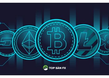 Coin top là gì? Đồng tiền nào đáng để đầu tư?