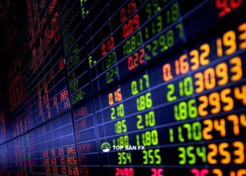 Dư mua dư bán là gì? Cách chọn cổ phiếu sắp tăng giá bằng chỉ số dư mua dư bán