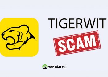 Sàn Tigerwit lừa đảo – những điều bạn cần biết
