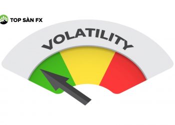 volatility là gì