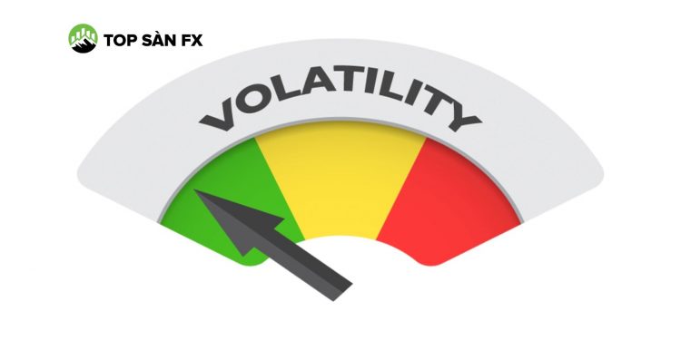 volatility là gì