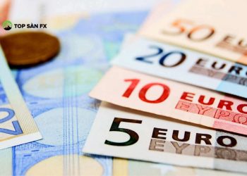 Phân tích Euro (3/9): USD, AUD, NZD giảm, tăng hay đi ngang?