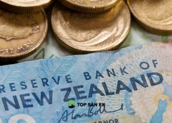 Phân tích đồng đô la New Zealand 24/9: Giá tăng trở lại?