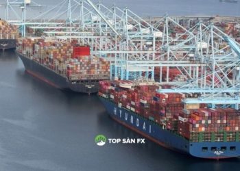 Thách thức khắc phục chuỗi cung ứng của cảng Hoa Kỳ
