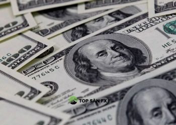 Đô la giữ mức cao gần 14 tháng so với Euro