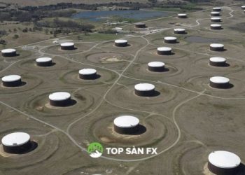 Giá dầu tăng trở lại trong bối cảnh thị trường thắt chặt