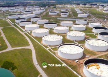 Dầu giảm giá sau đợt bùng nổ, ngành năng lượng khủng hoảng