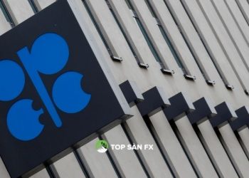 OPEC họp về sản lượng tăng khi giá dầu tăng