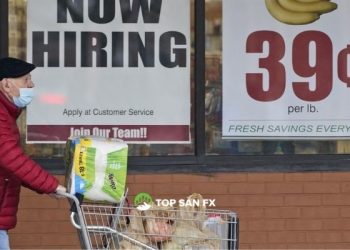 Thị trường lao động Hoa Kỳ lấy lại chỗ đứng