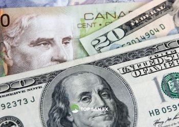 Tiền tệ hàng hóa ở mức cao nhất trong nhiều tháng