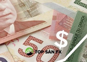 Phân tích đô la Canada 24/11: CAD/JPY kiểm tra mức hỗ trợ