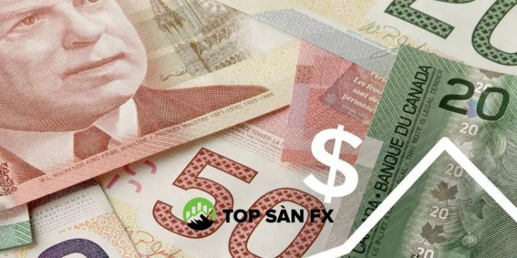 Phân tích đô la Canada 24/11: CAD/JPY kiểm tra mức hỗ trợ